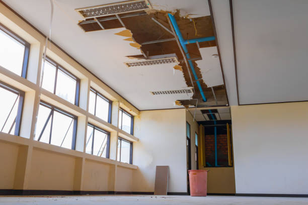 Best Ceiling water damage repair  in , MA