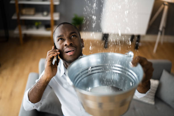 Best Water damage restoration near me  in , MA