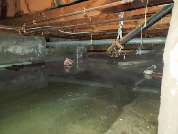 Best 24-hour water damage restoration  in , MA