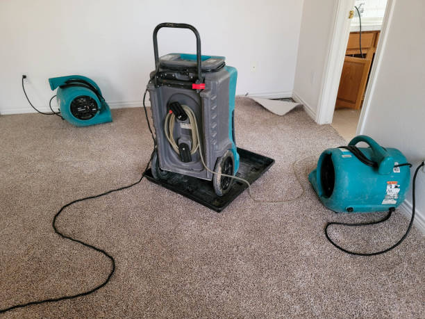 Best Flooded house restoration  in , MA