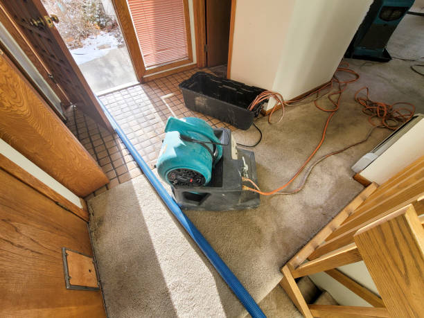 Best Commercial water damage restoration  in , MA