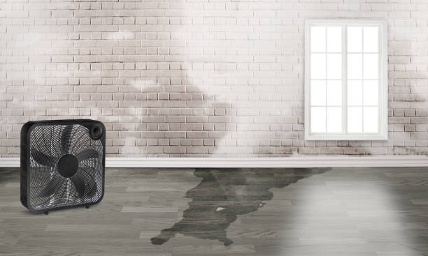 Best 24/7 water damage repair  in , MA