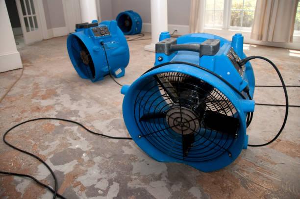 Best Fire Damage Restoration  in , MA