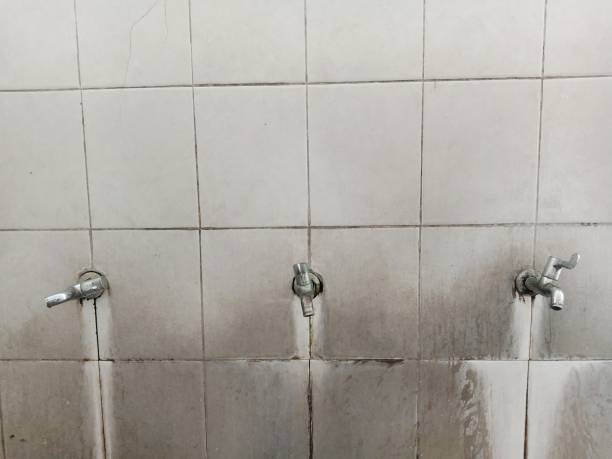 Best Carpet water damage restoration  in , MA