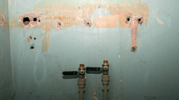 Best Emergency water damage restoration  in , MA