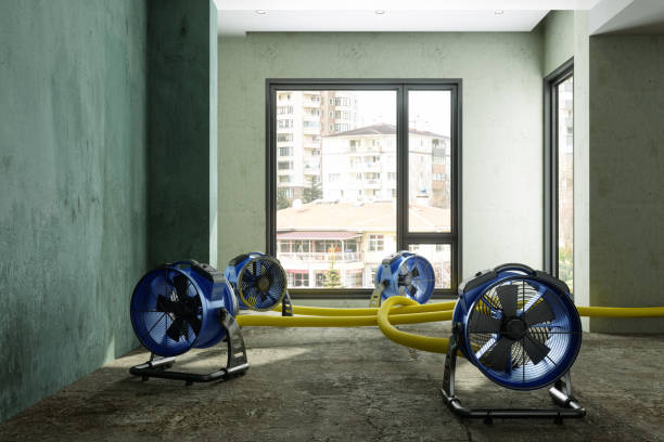 Best Professional water damage repair  in , MA